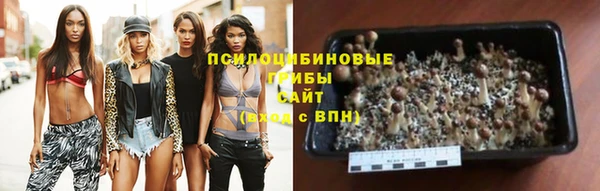 молекула духа Абинск