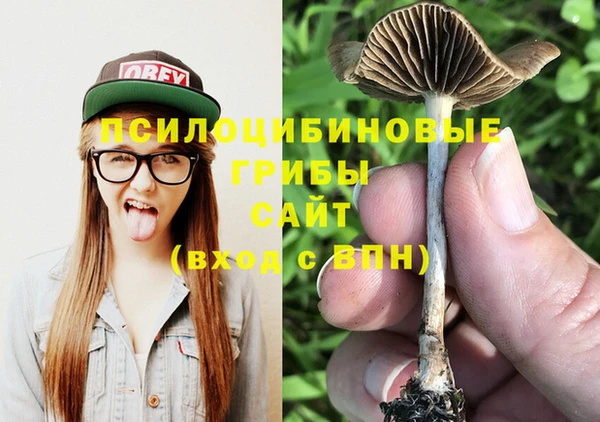 трава Абаза
