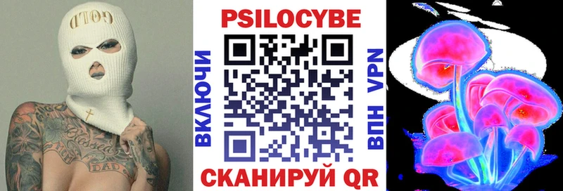 дарнет шоп  Россошь  Галлюциногенные грибы Magic Shrooms 